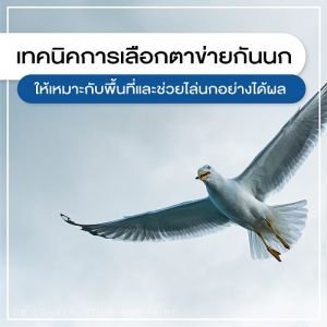 ตาข่ายกันนก, รับติดตั้งตาข่ายกันนก