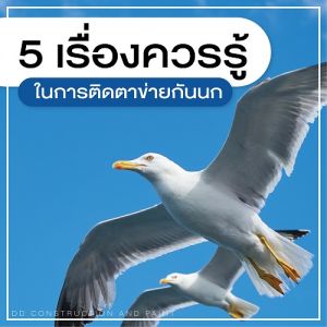 ตาข่ายกันนก, รับติดตั้งตาข่ายกันนก